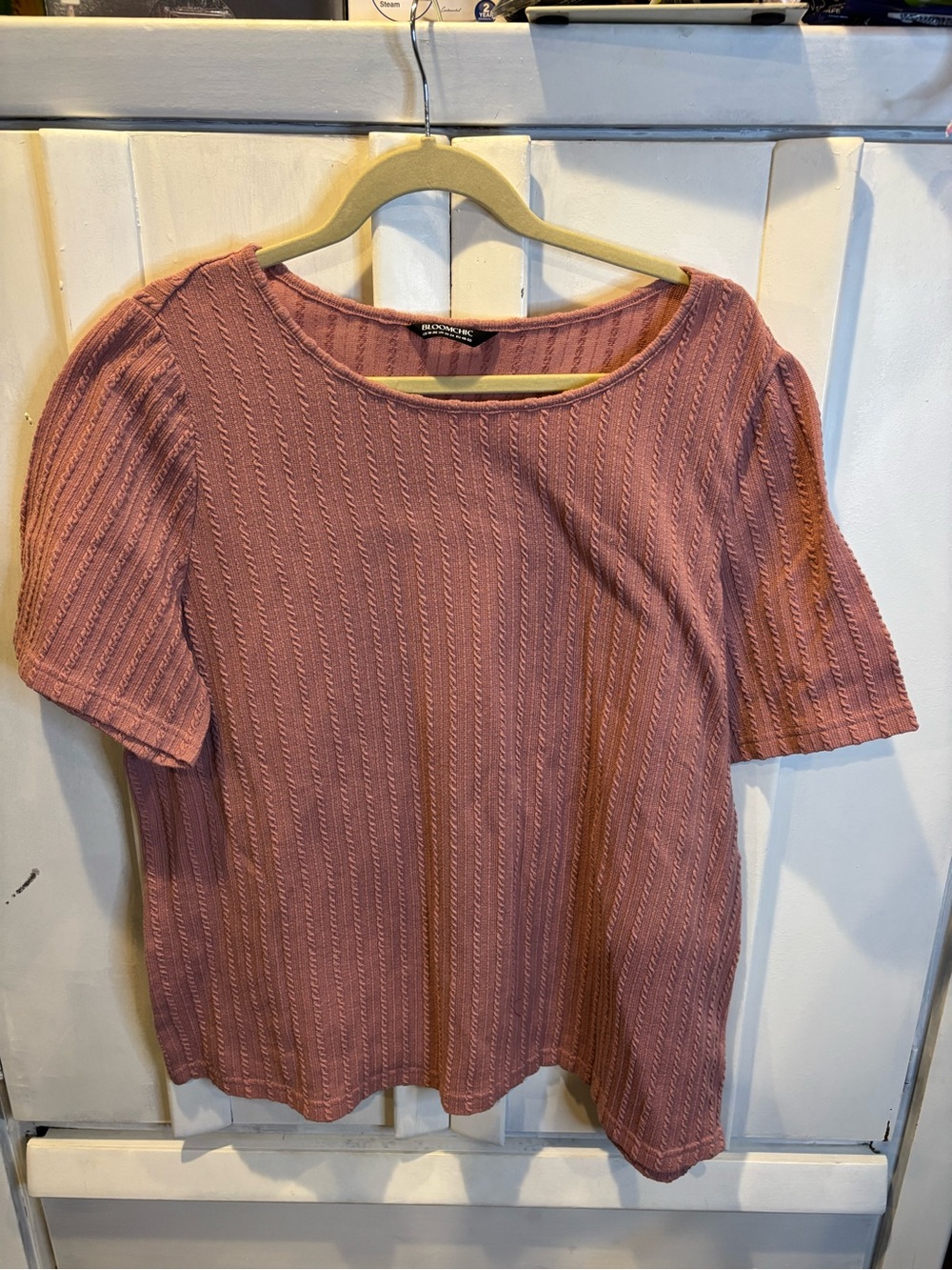 BloomChic Textured Short-Sleeve Top in Dusty Rose